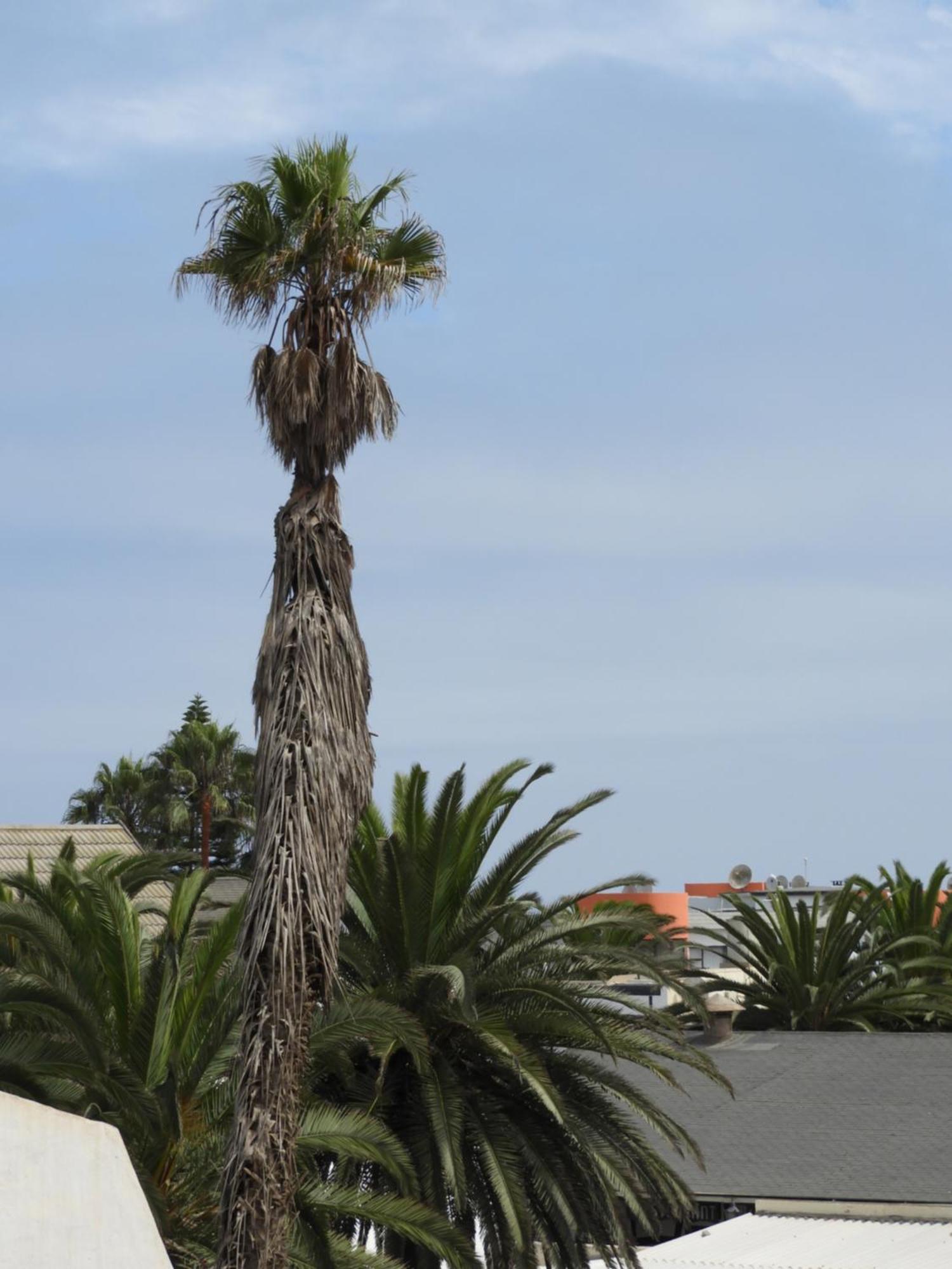 Central Self Catering Swakopmund Bagian luar foto